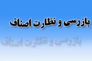 بازرسی از 22500 واحد صنفی در طرح نظارتی نوروز94