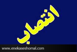 سرپرست هیئت اسکواش نور منصوب شد
