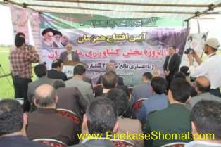 تجهيز و نوسازي 100 هزار هكتار از اراضي مازندران ضرورت دارد