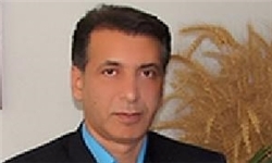 مصرف نیتروکسین برای تقویت برنج مؤثر است