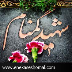 ساری میزبان 2 لاله گمنام دفاع مقدس می‌شود