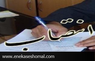 مسئول روابط عمومی هیئت بدنسازی ساری منصوب شد