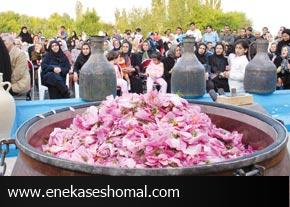 برگزاری جشنواره گلاب گیری در شمال کشور