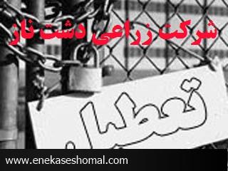 تحصن 150 کارگر فصلی و تعطیلی شرکت دشت ناز