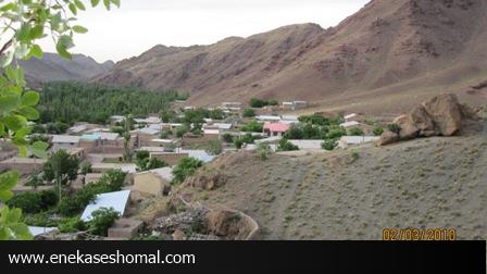 غارت محصولات باغات تویه دروار!