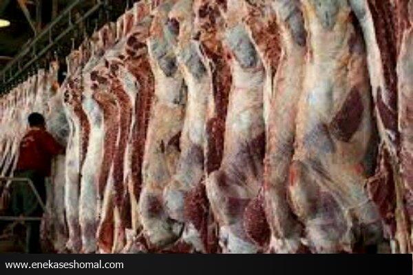 تب کریمه کنگو تا ۴۰ درصد سبب مرگ و میر می شود