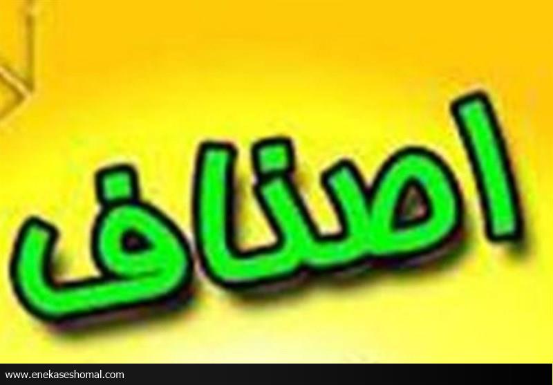 اصناف پیشتاز تحقق منویات رهبری در حوزه اقتصاد مقاومتی هستند