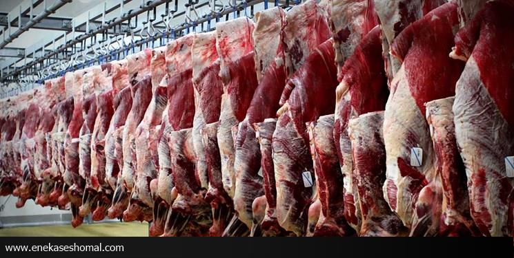 برای خرید گوشت از روسیه قرارداد منعقد شود