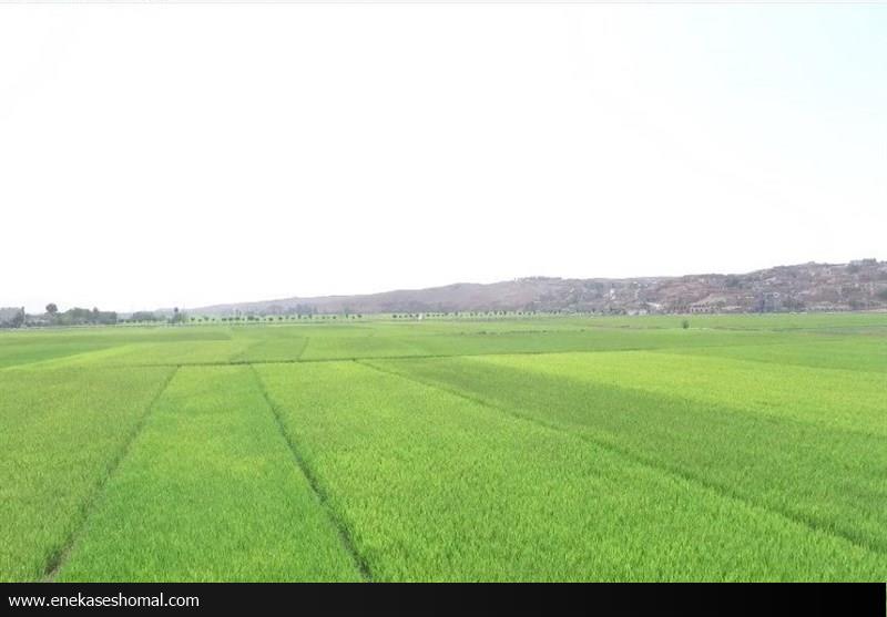 زنگ خطر بحران خشکسالی در مازندران به صدا درآمد‌