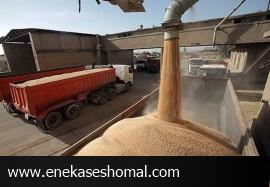 ابهام جدید در ماجرای گندم‌های مفقودی با اظهارنظر استاندار
