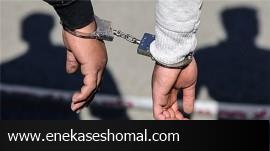 شاخ شرور عربده کش در عباس آباد شکست