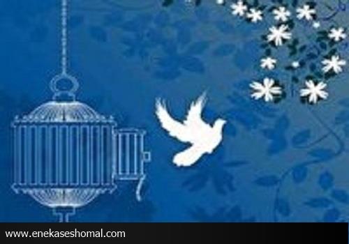 آزادی ۷ زندانی جرائم غیرعمد در مازندران