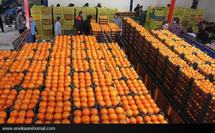 تعیین مباشر خرید مرکبات شب عید بزودی