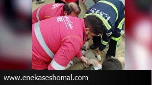 از بازداشت دروغگوی مجازی تا دستگیری شکارچی غیرمجاز