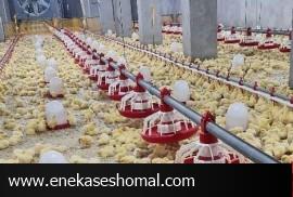 سهل انگاری مسئولان جایگاه گلستان را متزلزل می کند
