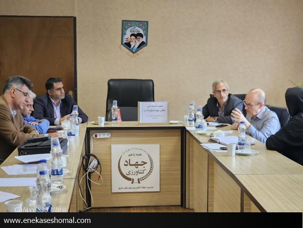 ضرورت مدیریت مگس میوه در باغ های هدف صادرات