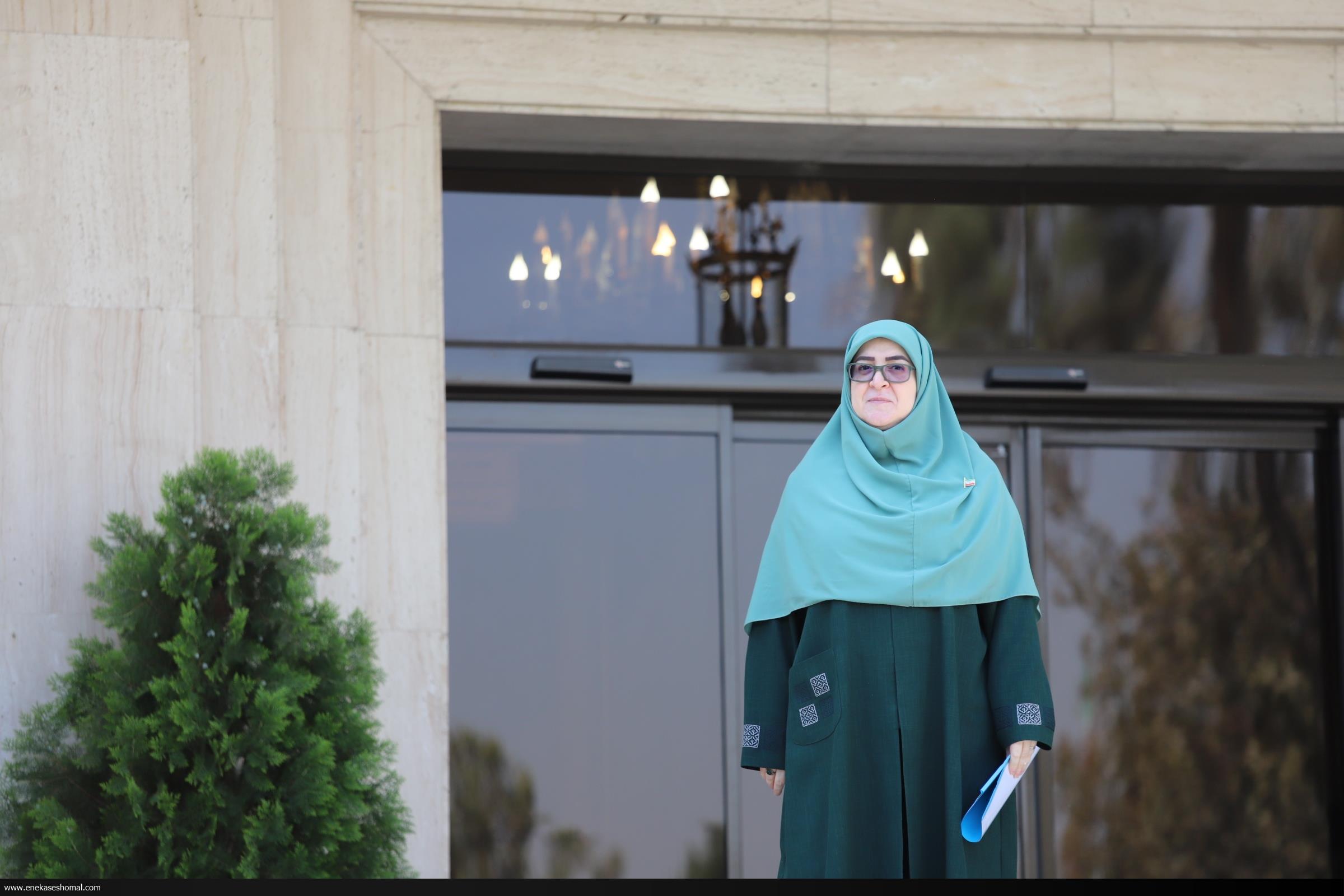 دیپلماسی استانی در دستور کار دولت است