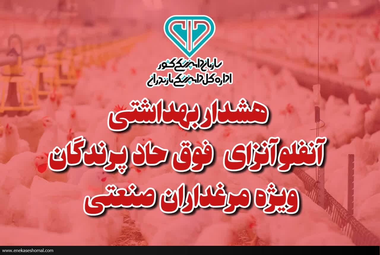 به مرغداران در مورد آنفلوانزای پرندگان