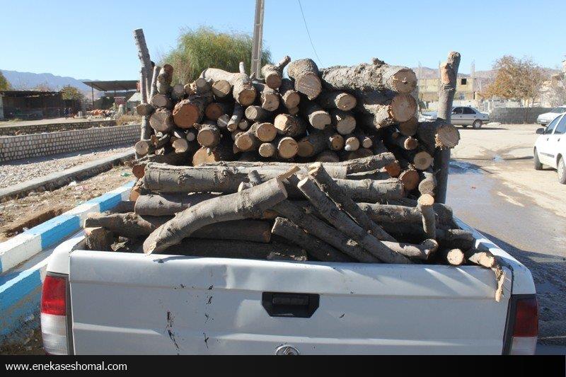 ممنوعیت حمل چوب جنگلی در نوروز؛ برخورد جدی با متخلفان