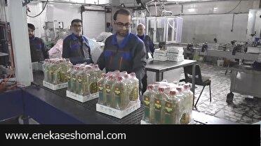 اشتغال در مشاغل خانگی، رویکرد اصلی دولت