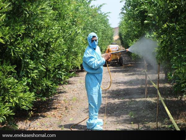 باغداران هشدار‌ها را جدی بگیرند